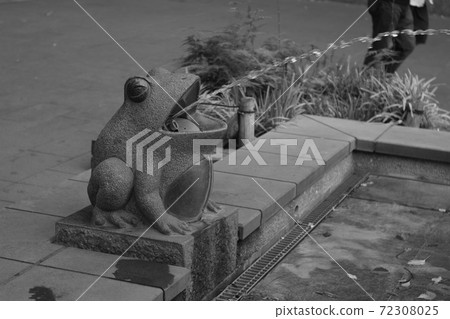 Frog fountain　 72308025