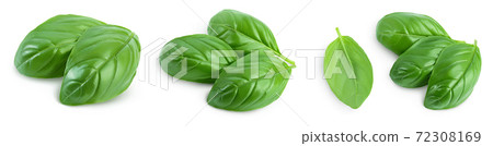 Fresh basil leaf isolated on white background with clipping path and full depth of field. Top view. Flat lay, Set or collection Fresh basil leaf isolated on white background with clipping path and full depth of field. Top view. Flat lay, Set or collection 72308169