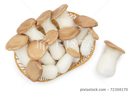 King Oyster mushroom or Eringi in wicker basket isolated on white background with clipping path. Top view. Flat lay King Oyster mushroom or Eringi in wicker basket isolated on white background with clipping path. Top view. Flat lay 72308170