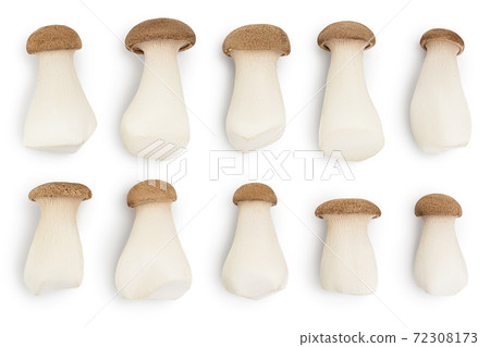 King Oyster mushroom or Eringi isolated on white background with clipping path. Top view. Flat lay, Set or collection 72308173