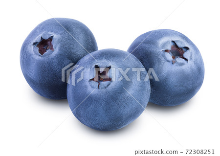 fresh blueberry with leaves isolated on white background closeup with clipping path and full depth of field 72308251