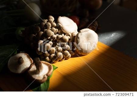 秋天味蘑菇 72309471