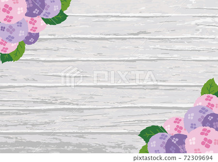 Illustration of pink and purple hydrangea on a white tree background 72309694