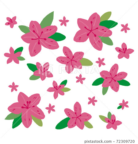 Illustration of pink azalea Illustration of pink azalea 72309720