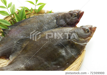 Souhachi flatfish 13 72309900