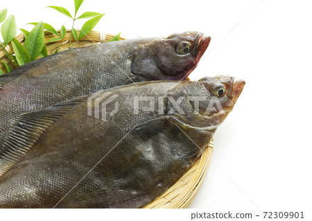 Souhachi flatfish 14 72309901