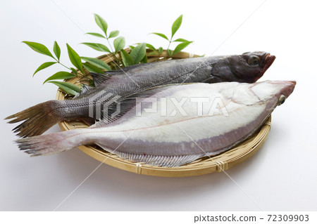 Souhachi flatfish 16 72309903