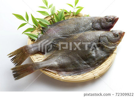 Souhachi flatfish 5 72309922