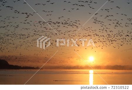 一大批魔術師在清晨起飛 72310522