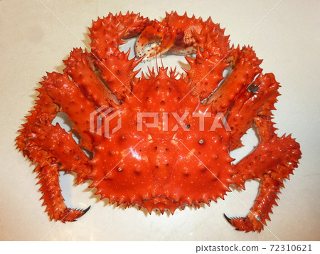 Hanasaki蟹 72310621