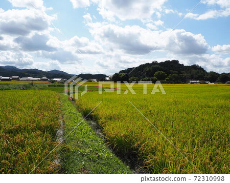飛鳥村的壯麗景色 飛鳥村的壯麗景色 72310998