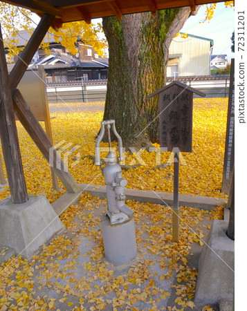 "Silver pump" under the big ginkgo in front of Abiki Station on the Hojo Railway 72311201