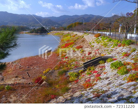 Autumn of Kitayama Reservoir and Mt. Rokko 72311220