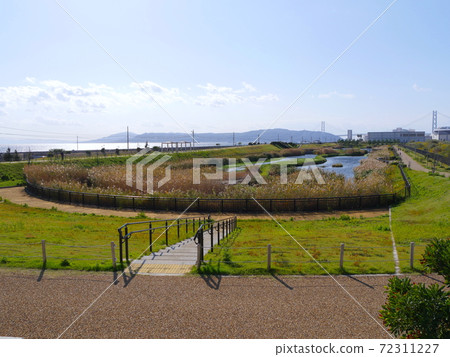 在平iso琉球的“長isa之池”的遠處眺望淡路島和明石海峽大橋 72311227