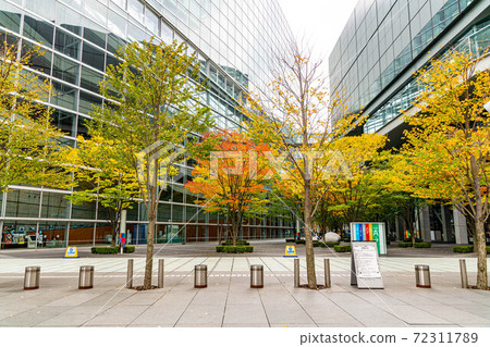 東京國際論壇紅葉 72311789