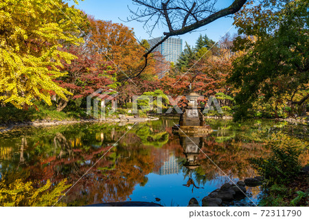日比谷公園Ungata池塘秋葉 72311790