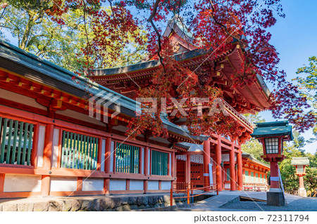 武藏一宮宮川神社塔門秋葉 武藏一宮宮川神社塔門秋葉 72311794