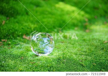 The fascination of the moss garden 34 The fascination of the moss garden 34 72311949