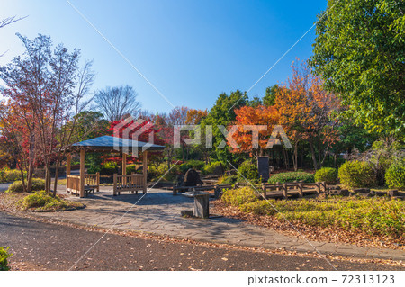 A park with many trees that makes the most of nature A park with many trees that makes the most of nature 72313123