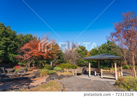 A park with many trees that makes the most of nature A park with many trees that makes the most of nature 72313126