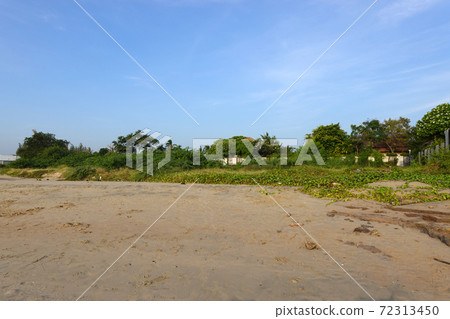 Beachfront Land  for sale concept. Landscape of empty land plot for development project concept.     72313450