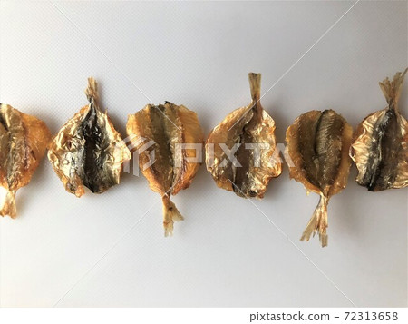 Koaji mirinboshi lined up in a row Koaji mirinboshi lined up in a row 72313658