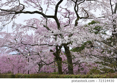 Clear stream green Clear stream green 72314430