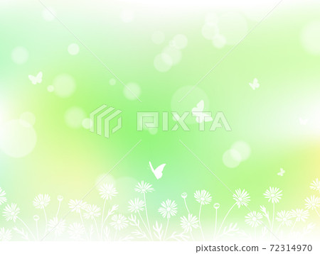 Illustration material of flowers, butterflies and light bokeh background Illustration material of flowers, butterflies and light bokeh background 72314970