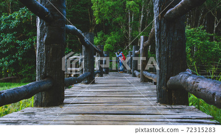 The young man is taking a photo shoot on the wooden bridge, at Pang Ung traveling to take pictures of natural scenery. 72315283