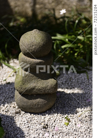 gawa原天滿宮櫻花 gawa原天滿宮櫻花 72315284