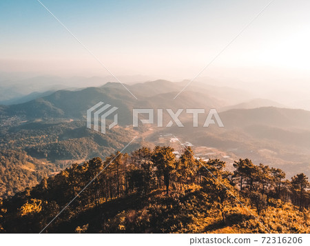 Mountains and pine forests in the evening Mountains and pine forests in the evening 72316206