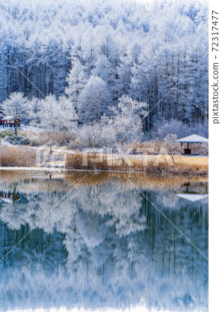 霧冰和聖高原上的倒影[長野縣] 72317477