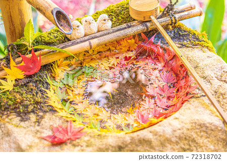 [Autumn] Yanagidani Kannon Hanatemizu 72318702