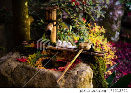 [Autumn] Yanagidani Kannon Hanatemizu 72318721