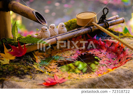 [Autumn] Yanagidani Kannon Hanatemizu 72318722