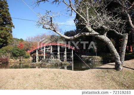 Tanyu Tobisu神社 72319283