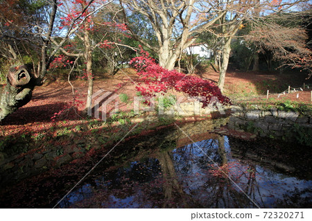 Tanyu Tobisu神社 Tanyu Tobisu神社 72320271