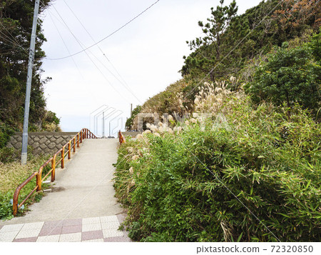 The tip of the Shonan Miura Peninsula Winter in Jogashima, Miura City, Kanagawa Prefecture (cloudy) 72320850