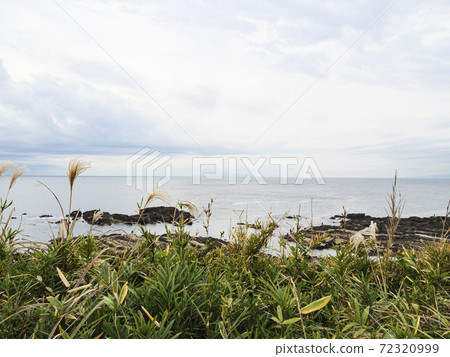The tip of the Shonan Miura Peninsula Winter in Jogashima, Miura City, Kanagawa Prefecture (cloudy) 72320999