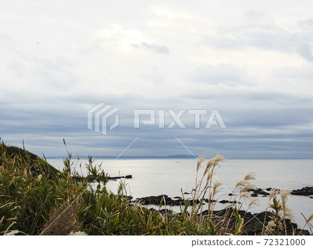 The tip of the Shonan Miura Peninsula Winter in Jogashima, Miura City, Kanagawa Prefecture (cloudy) 72321000