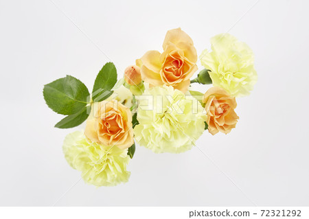 Rose carnation combination mix 72321292