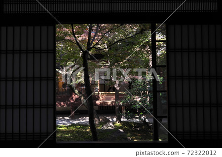 松蔭汐留花園的秋葉 72322012