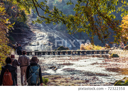[遊客們享受著淡羽瀑布的秋葉] 72322358