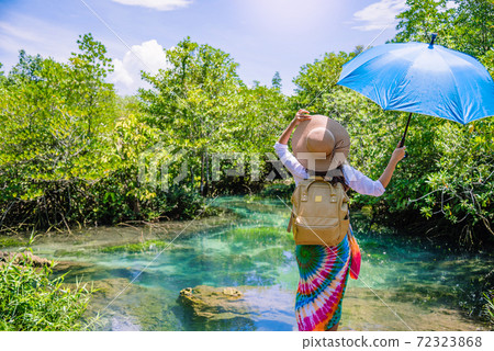 A young traveler girl relax in the holiday enjoying the beauty of nature lake mangrove forest at tha pom-klong-song-nam at krabi. summer, Travel, Thailand, freedom, Attractions. A young traveler girl relax in the holiday enjoying the beauty of nature lake mangrove forest at tha pom-klong-song-nam at krabi. summer, Travel, Thailand, freedom, Attractions. 72323868