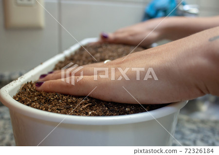 Woman handling soil on a plastic flowerpot while planting some herbs at home Woman handling soil on a plastic flowerpot while planting some herbs at home 72326184