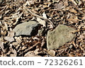 Roadside stone 72326261