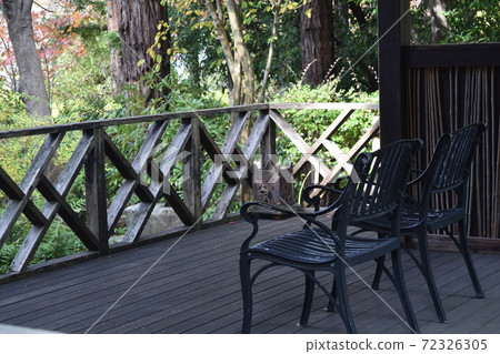 明亮的秋天的樹葉的弗雷裡在風中搖曳 明亮的秋天的樹葉的弗雷裡在風中搖曳 72326305