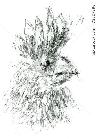 A hen, hand drawn illustration	 72327896