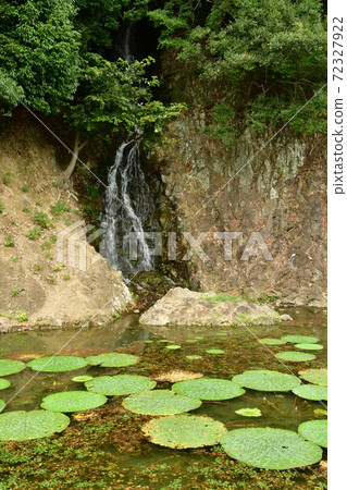 Ritsurin Garden 43 72327922