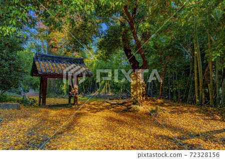 Kyoto Yamazaki Shoten Kanonji Temple Stock Photo 72328156 PIXTA